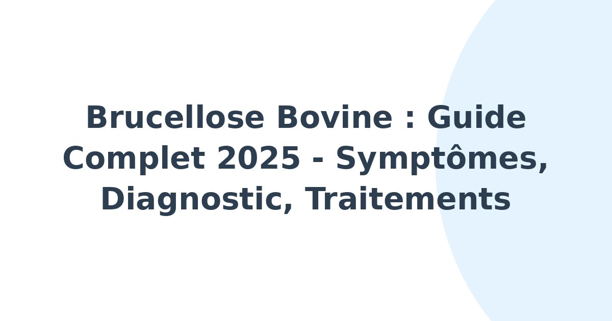 Brucellose bovine